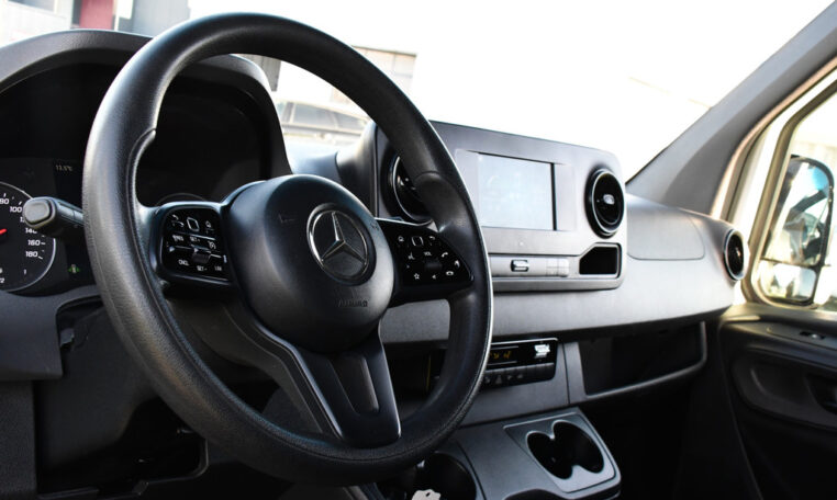 Cruise